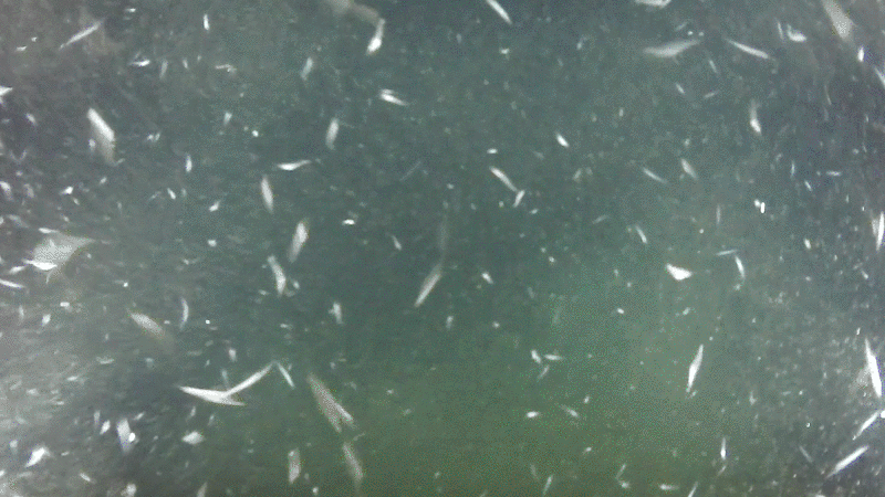 Low-Light HD USB Camera - Description Image