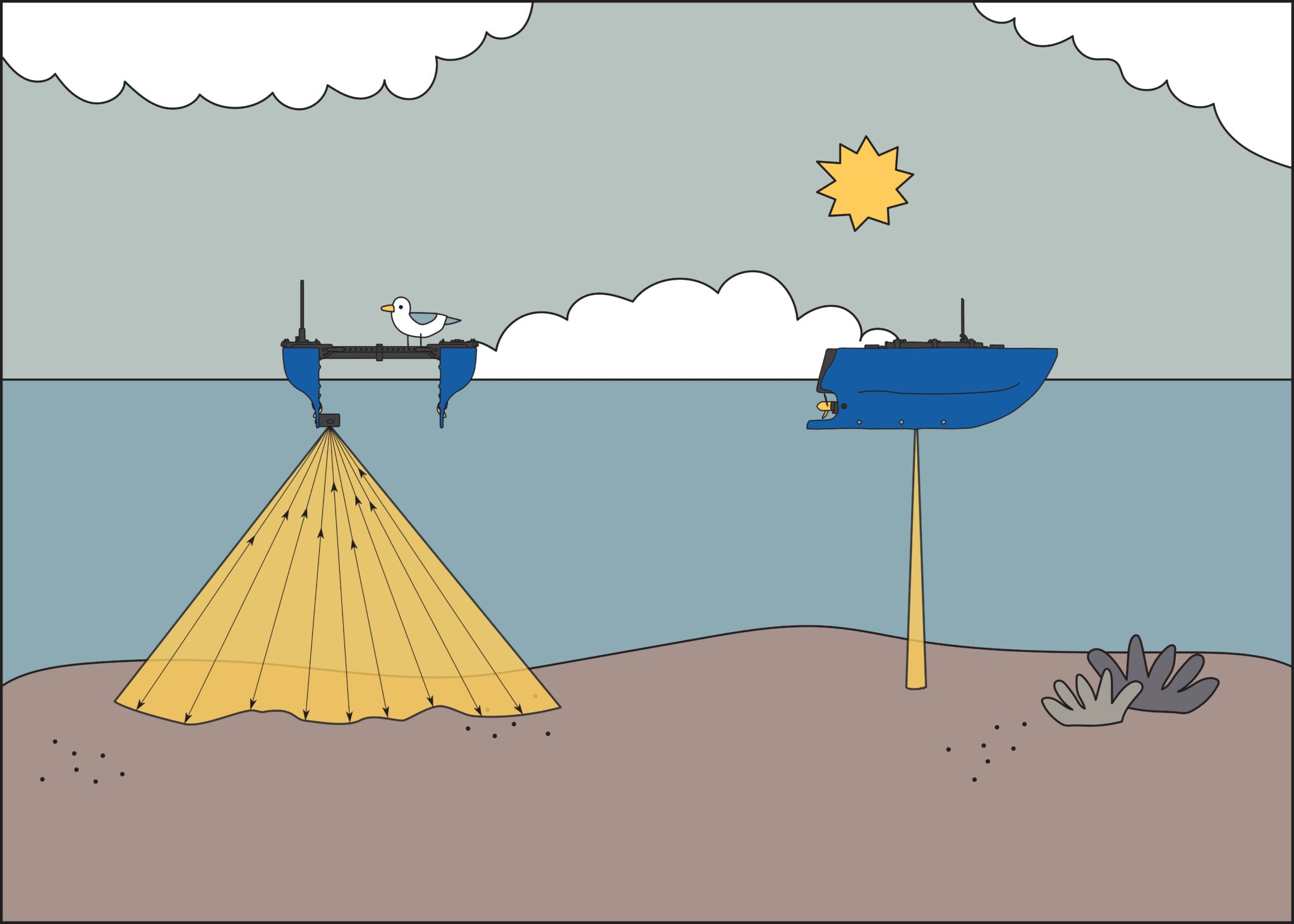 Cerulean Surveyor Multibeam Echosounder - Description Image