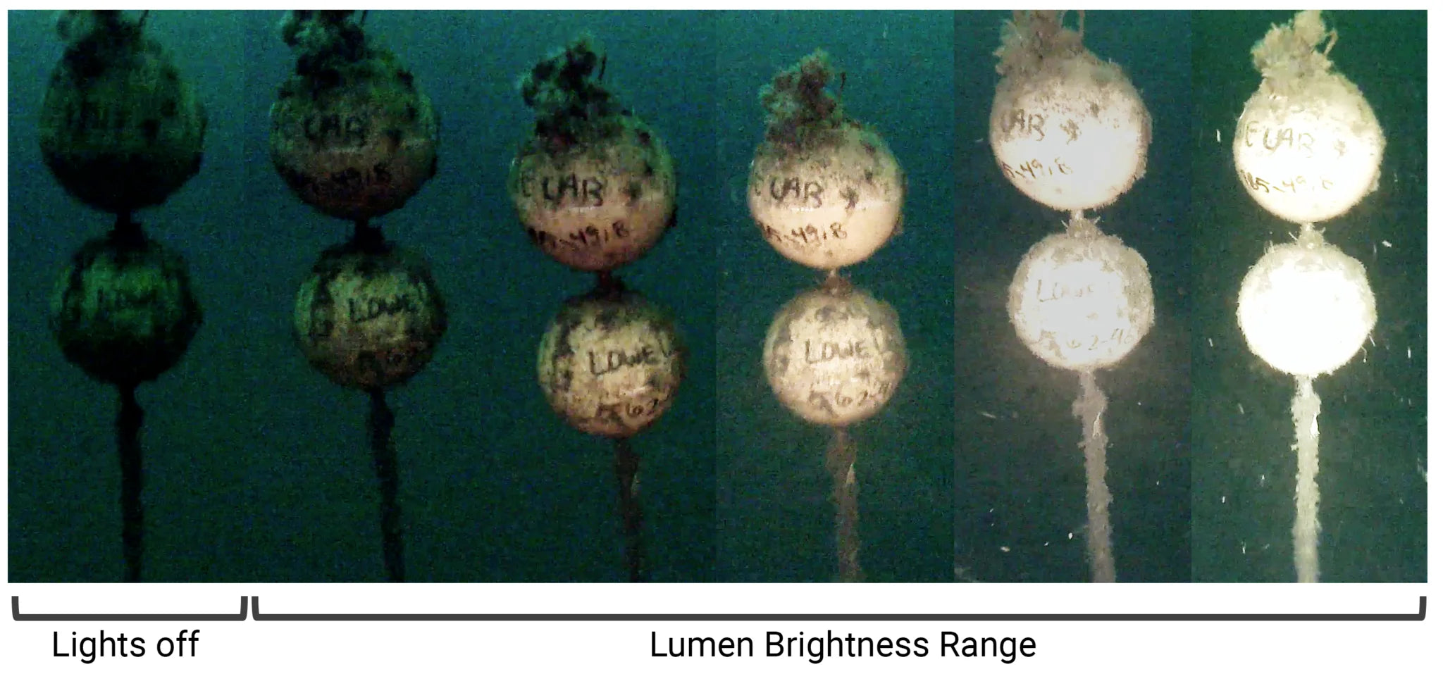 Lumen Subsea Light (Pre-Connected Sets) - Description Image